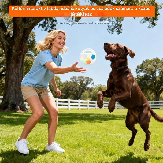 ⚽🐕🐾Kutyajáték - focilabda, interaktív és harapásálló kellékek border collie-knak, labradoroknak és corgi kutyáknak.