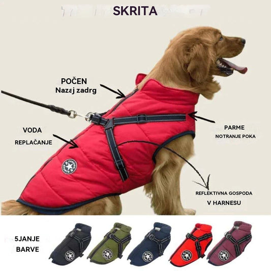 【Vroča prodaja】Jesenska in zimska smučarska oblačila za hišne ljubljenčke, vodoodporna in topla bombažna jakna za pse