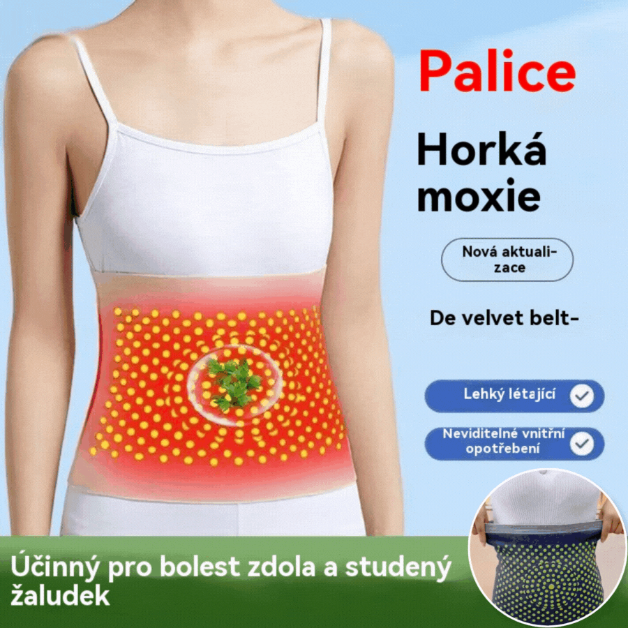 🔥【Kupite 1, dobite 1 brezplačno】🔥 GrelnI pas z pelinom, greje trebuh in lajša nelagodje