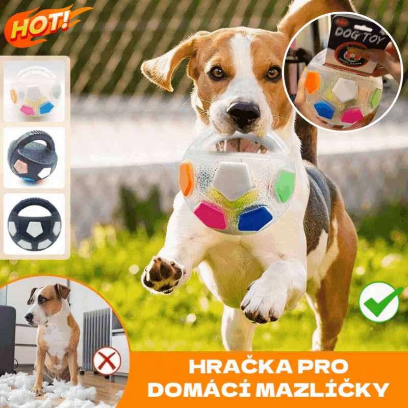 ⚽🐕🐾Kutyajáték - focilabda, interaktív és harapásálló kellékek border collie-knak, labradoroknak és corgi kutyáknak.