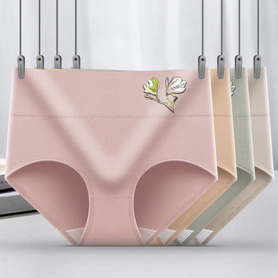 🌟【Legkeresettebb 1 szett 6 darab】 Varrat nélküli antibakteriális pamut fehérnemű