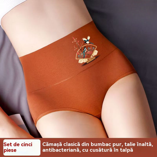 【6 darab】Magas derekú fenékemelő kiváló minőségű pamutból✨️ (40-100kg)