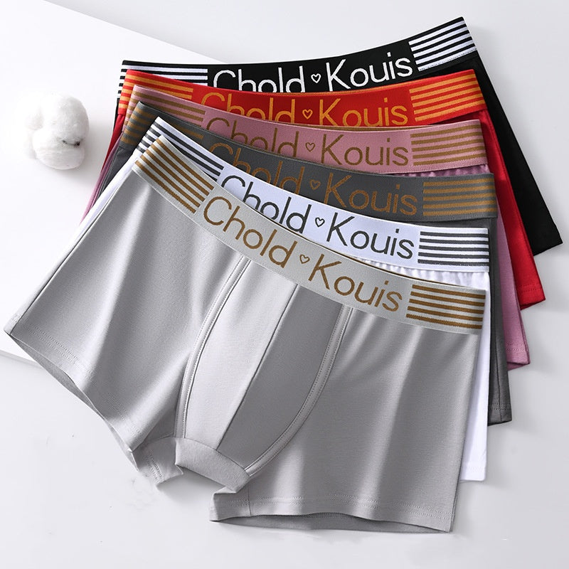 [6 darab] Puha és kényelmes férfi alsónemű tiszta pamutból (L–4XL)